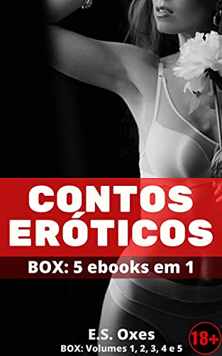 24 Contos Eróticos Inesquecíveis – BOX 5 em 1 com histórias adultas explícitas